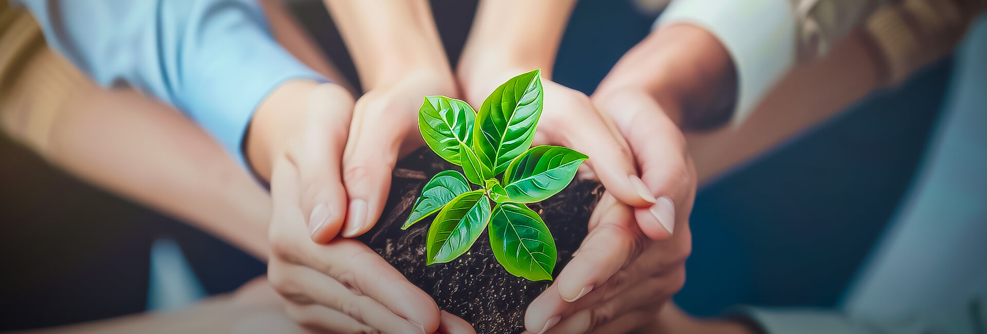 Grandir ensemble, construire la performance-banner-0